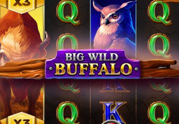 Автомат Big Wild Buffalo в Ramen Casino